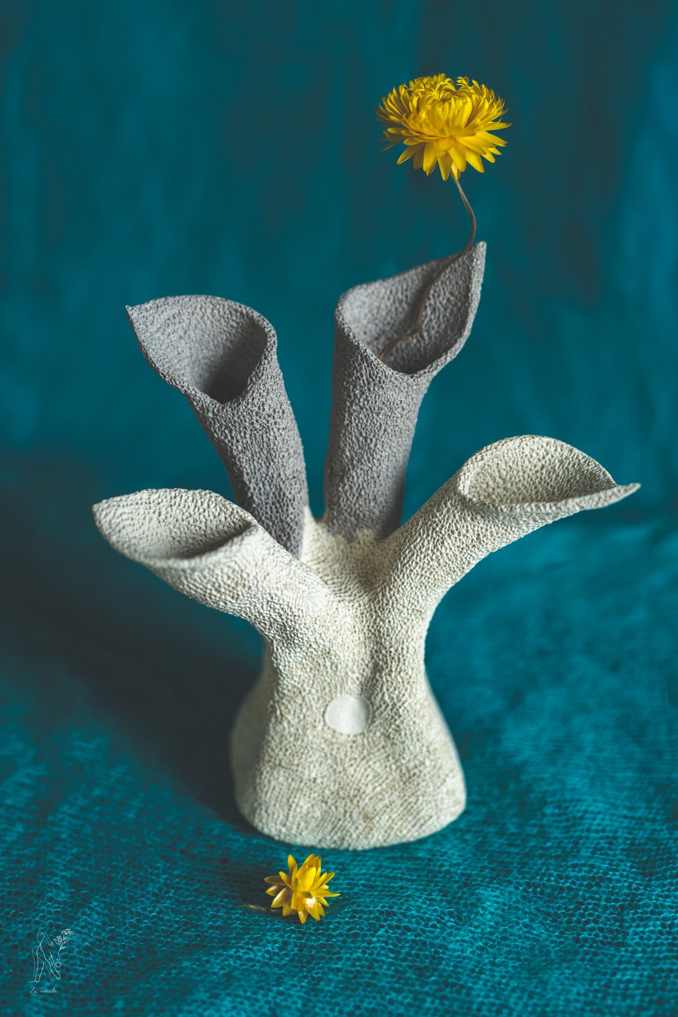 La grande soeur de Corallume