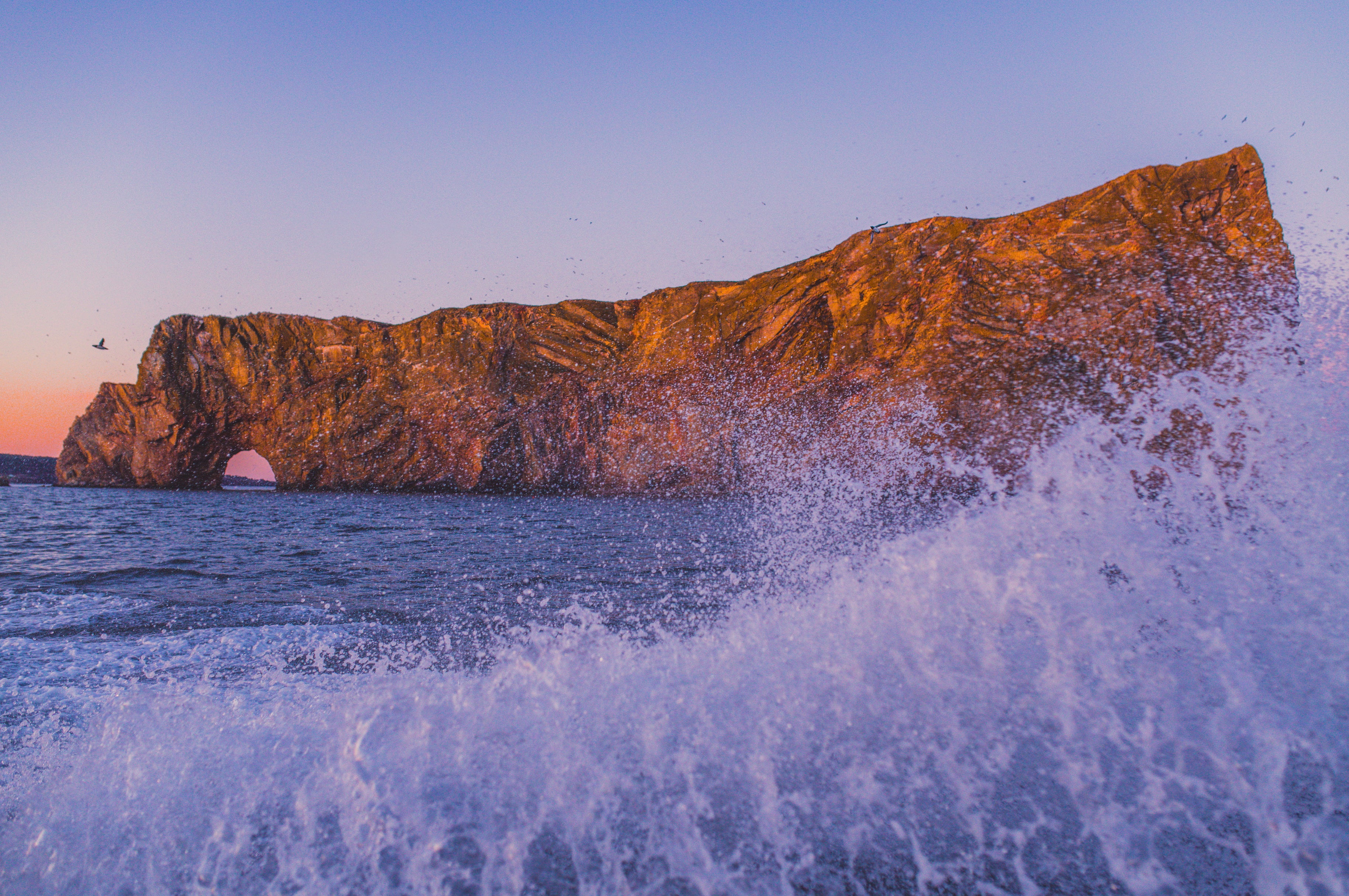 Alexandra's Rock'n'roll