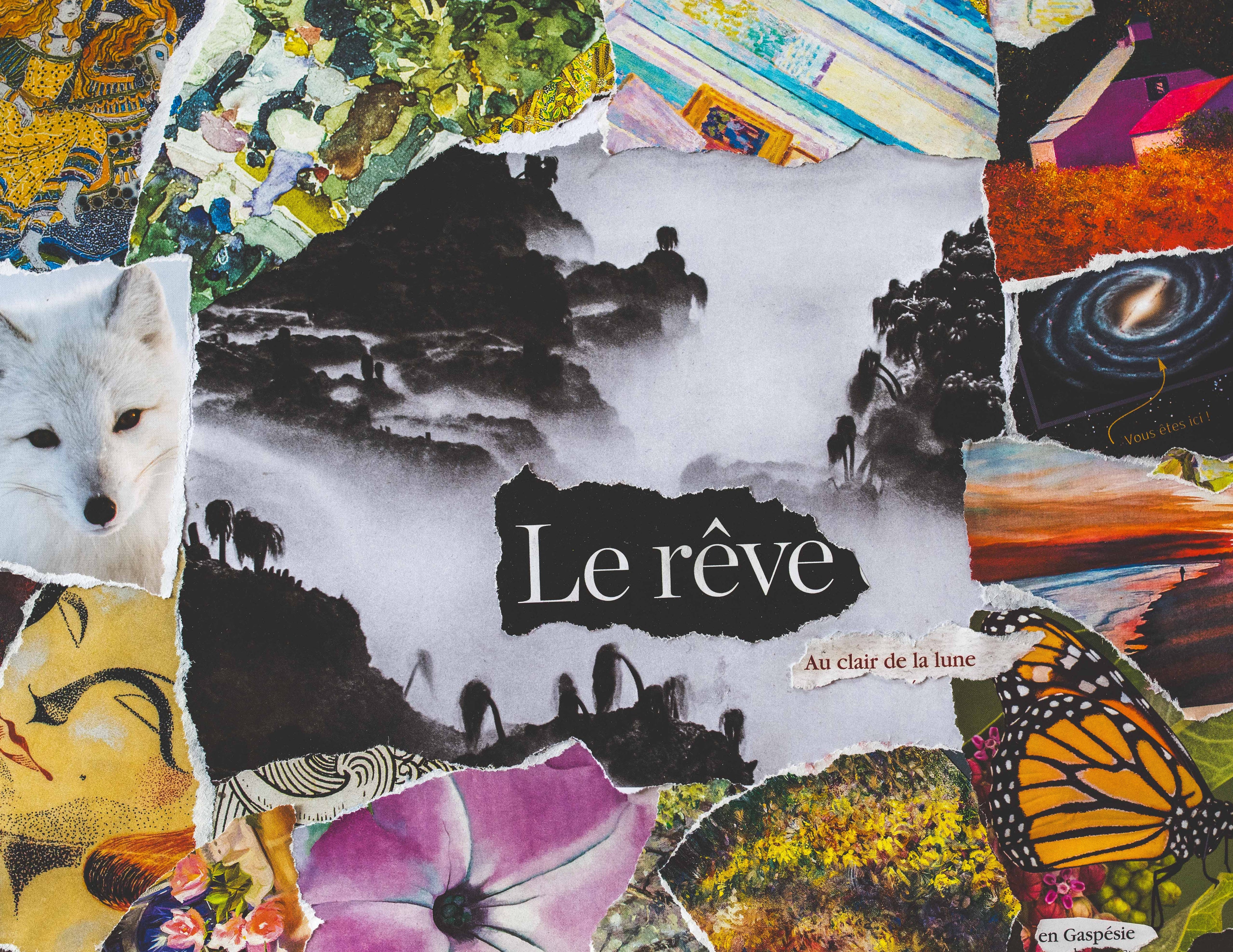 Le rêve, au clair de lune, en Gaspésie