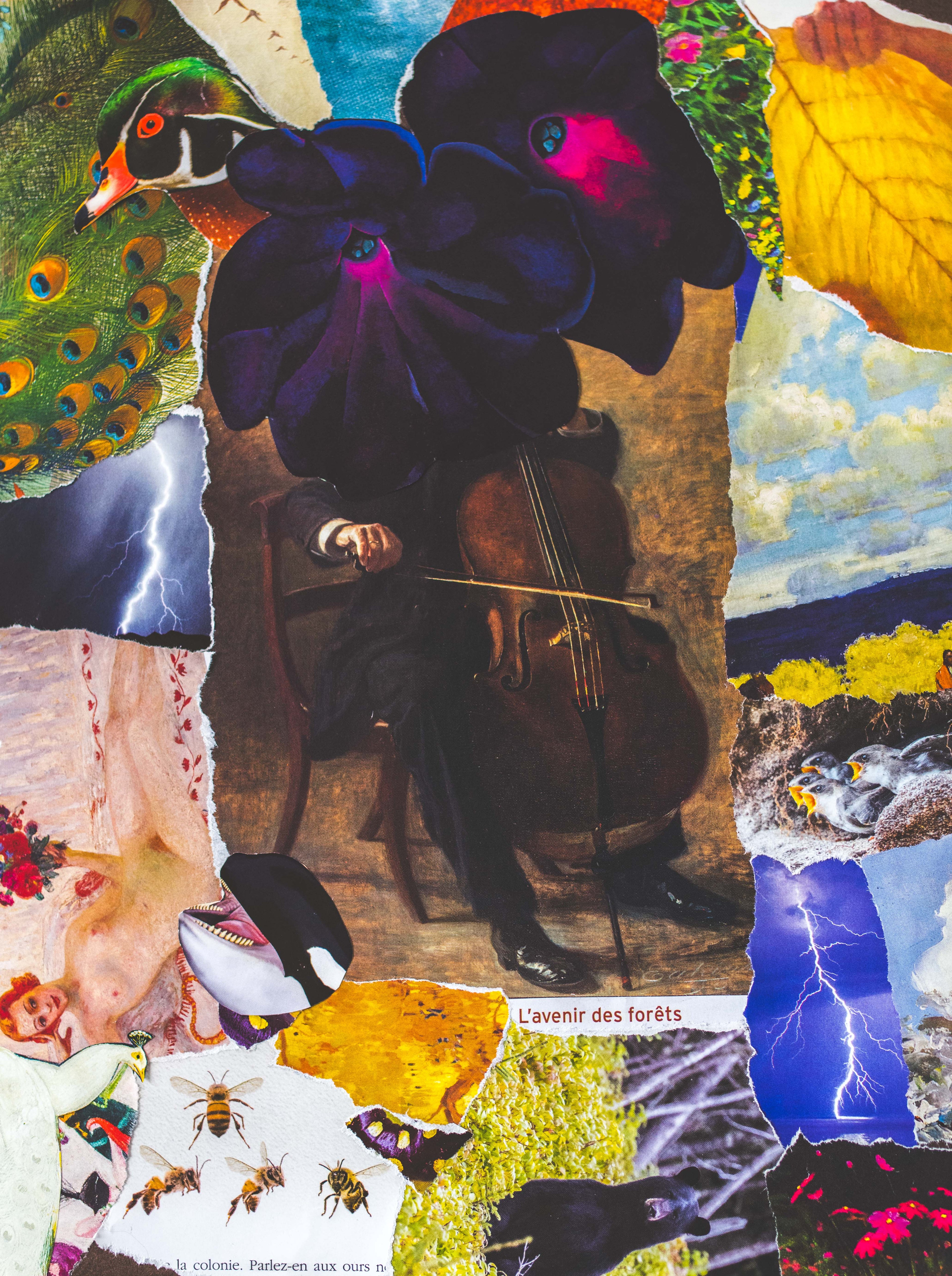 L'avenir des forêts