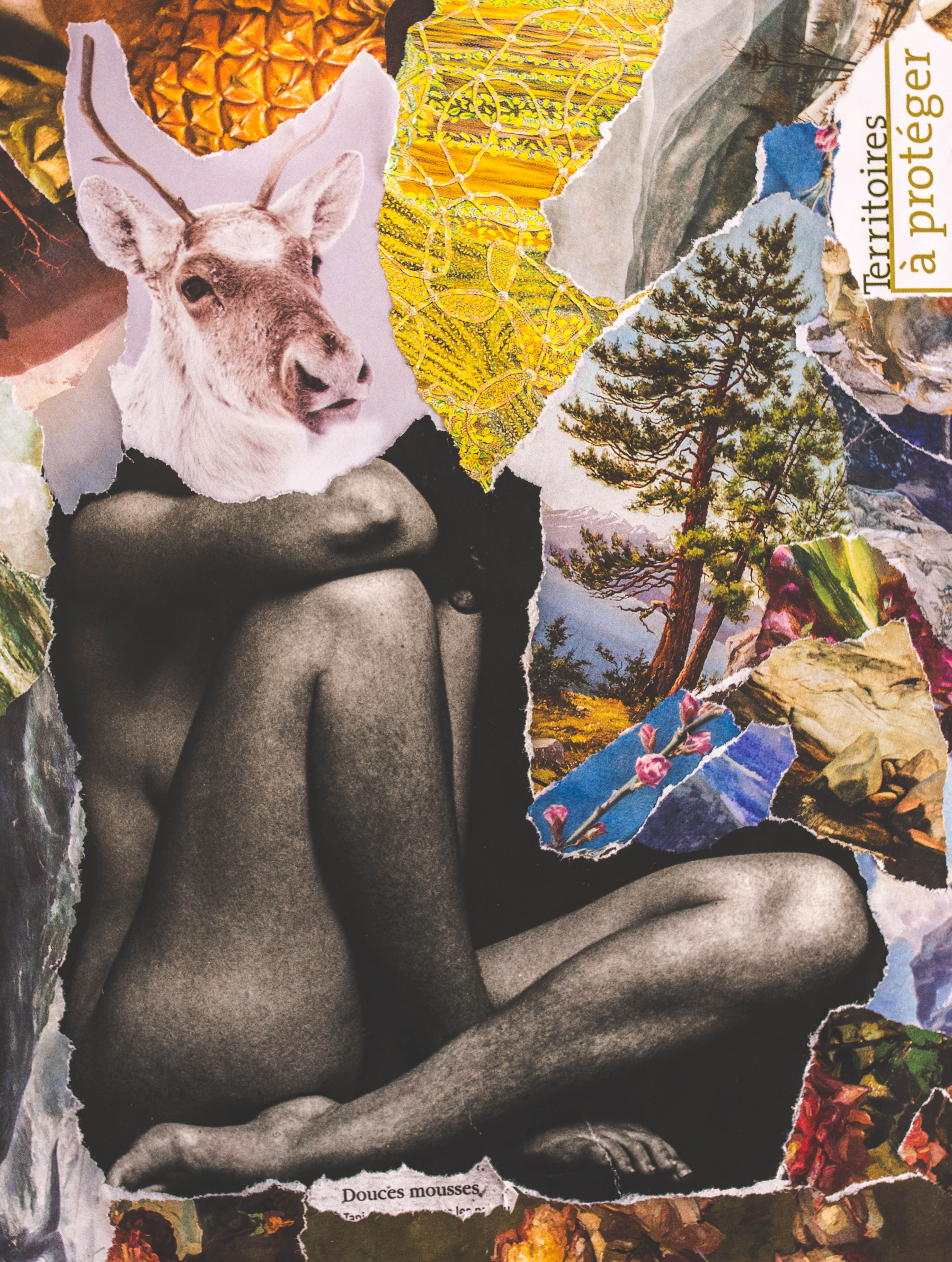 Territoires à protéger