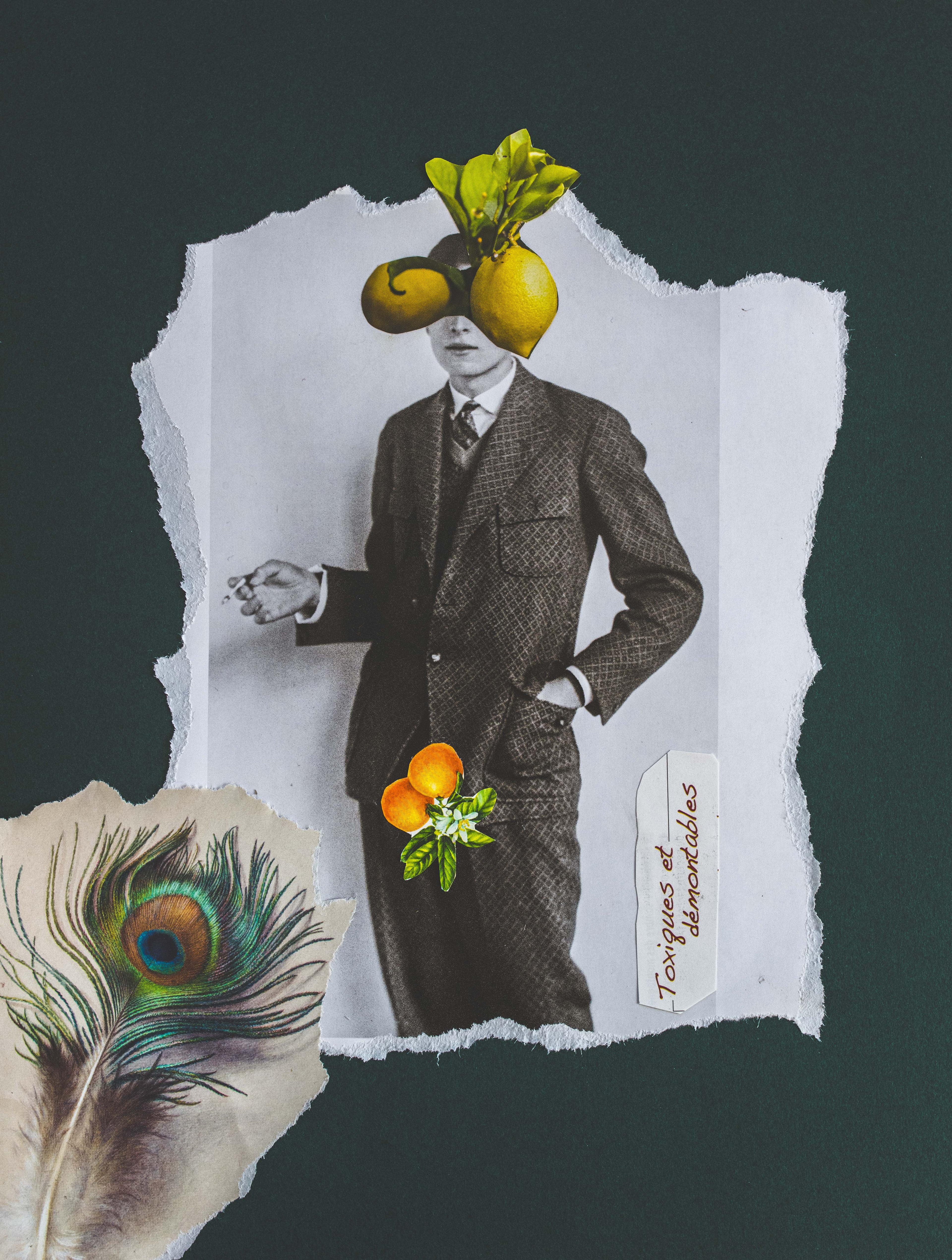 Toxiques et démontables